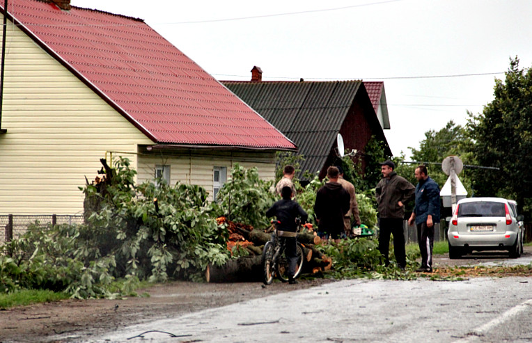 Зірвані дахи та поламані дерева: негода на Сторожинеччині (ФОТО)